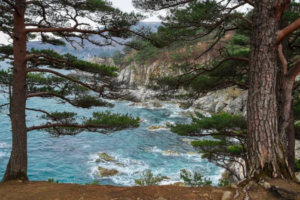 Japan Sea Coastline Russian Seashore Primorsky Region — Stock Photo, Image