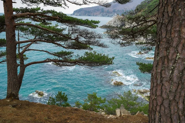 Coasta Mare Japoniei Coasta Rusească Regiunea Primorsky — Fotografie, imagine de stoc