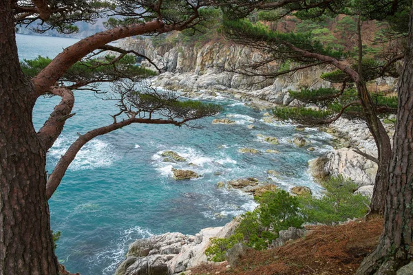 Costa Del Mar Japón Orilla Rusa Región Primorsky — Foto de Stock