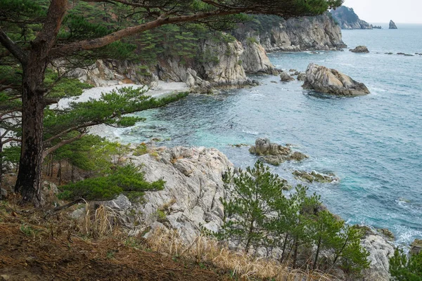 Costa Del Mar Japón Orilla Rusa Región Primorsky — Foto de Stock