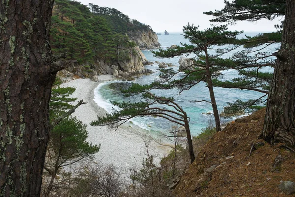 Japan Zeekust Russische Kust Primorsky Regio — Stockfoto