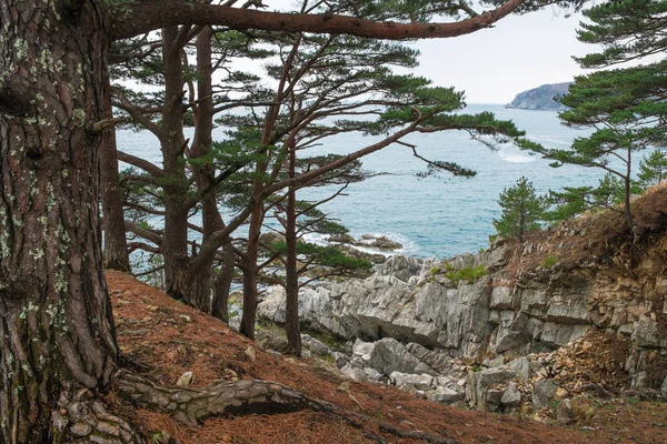 Coasta Mare Japoniei Coasta Rusească Regiunea Primorsky — Fotografie, imagine de stoc