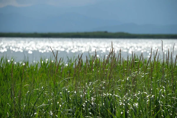 Scenic View Nature Landscape — Stock Photo, Image