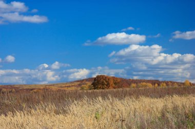 Doğa manzarası manzarası