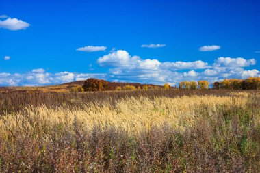 Doğa manzarası manzarası