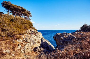 Doğa manzarası manzarası