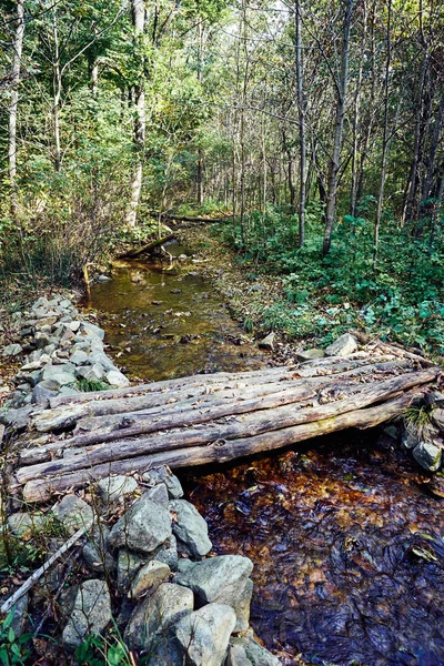 Die Alte Holzbrücke Wald — Stockfoto