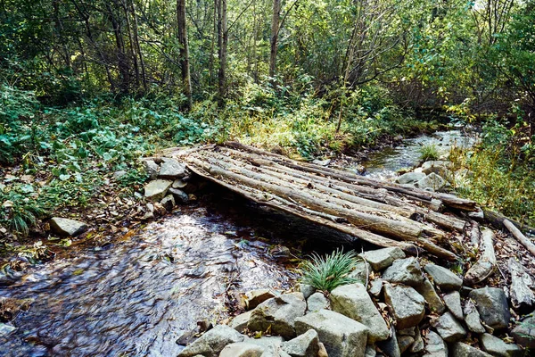 森の古い木の橋は — ストック写真