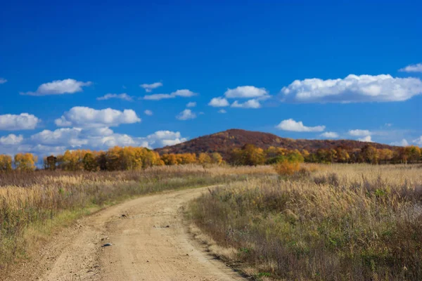 Schilderachtig Uitzicht Het Natuurlandschap — Stockfoto