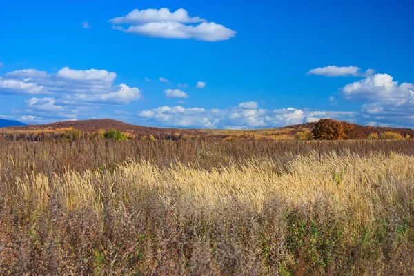 Vista Panorâmica Paisagem Natureza — Fotografia de Stock