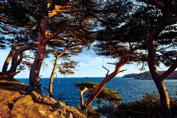 Malerischer Blick Auf Die Naturlandschaft — Stockfoto