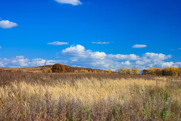 Scenic View Nature Landscape — Stock Photo, Image