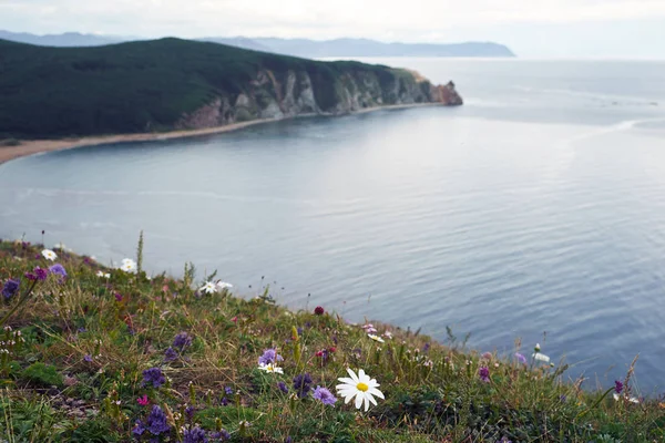 Vista Panorámica Del Paisaje Naturaleza — Foto de Stock