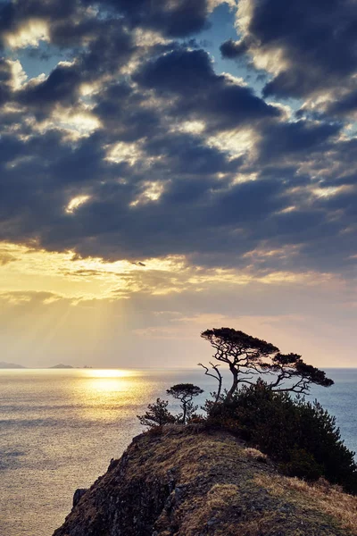 Vista Panorâmica Paisagem Natureza — Fotografia de Stock