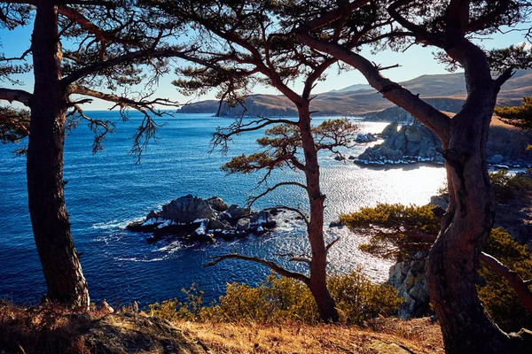 Vista Panorâmica Paisagem Natureza — Fotografia de Stock