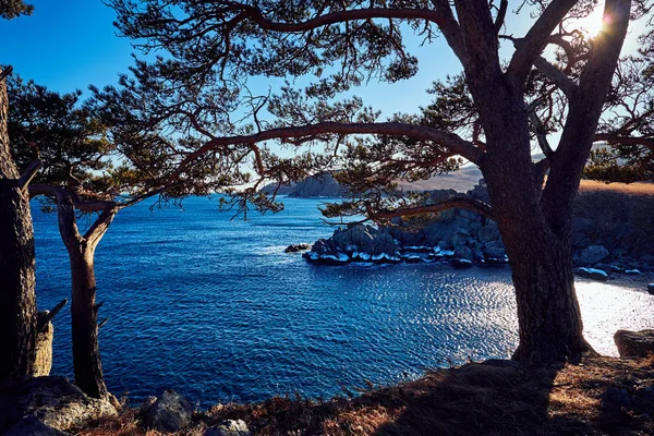 Vista Panorâmica Paisagem Natureza — Fotografia de Stock