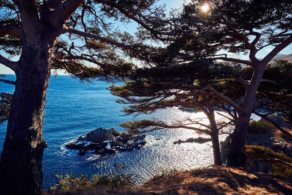 Vista Panorâmica Paisagem Natureza — Fotografia de Stock