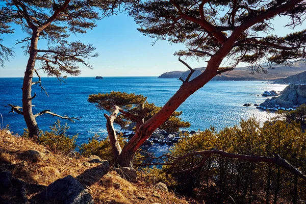 Vista Panorámica Del Paisaje Naturaleza — Foto de Stock