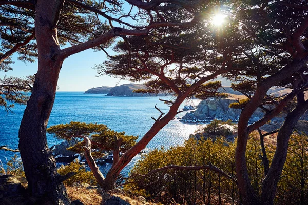 Vista Panoramica Del Paesaggio Naturale — Foto Stock