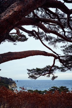 Doğa manzarası manzarası