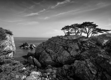 Uçurumlardaki güzel bir ağaç manzarası