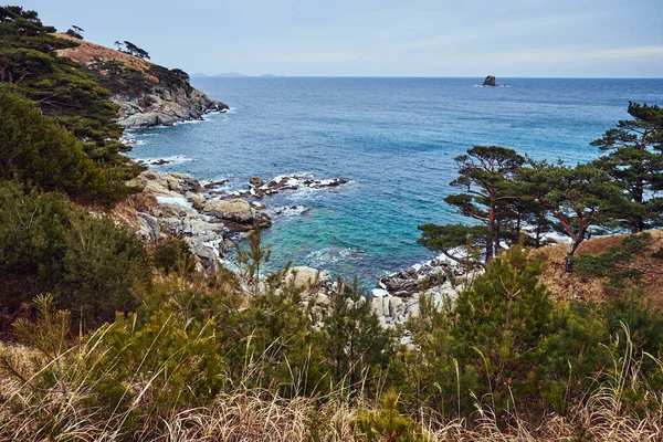 Vista Panorámica Del Paisaje Naturaleza — Foto de Stock