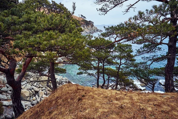 Malerischer Blick Auf Die Naturlandschaft — Stockfoto