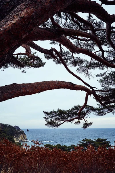 Vista Panorâmica Paisagem Natureza — Fotografia de Stock