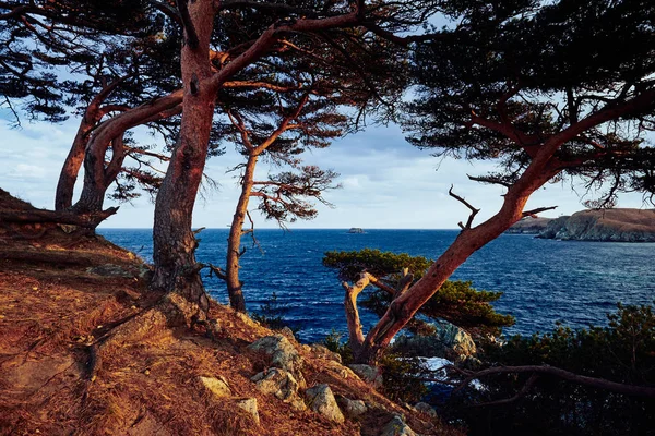 Vista Panorâmica Paisagem Natureza — Fotografia de Stock