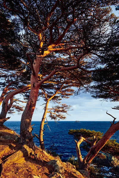 Vista Panorâmica Paisagem Natureza — Fotografia de Stock