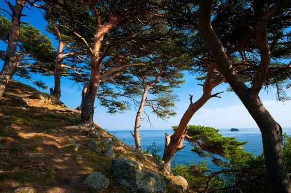 Vista Panoramica Del Paesaggio Naturale — Foto Stock