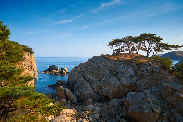 Vacker Utsikt Över Ett Träd Klippan Och Havet Bakgrund — Stockfoto