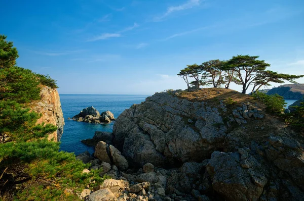 Beautiful View Tree Cliff Ans Sea Background — Stock Photo, Image