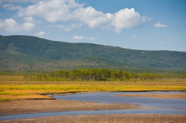 Doğa manzarası manzarası