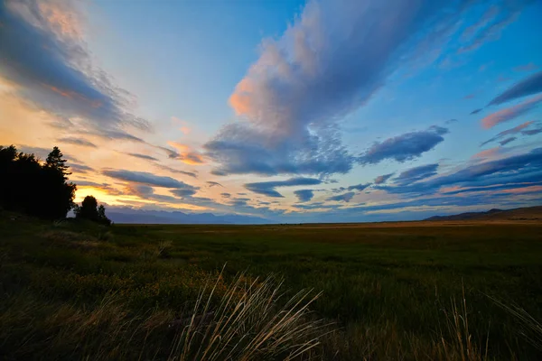 Naturskön Utsikt Över Naturlandskapet — Stockfoto