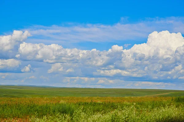 Landscape Field Dramatic Sky — Stock Photo, Image