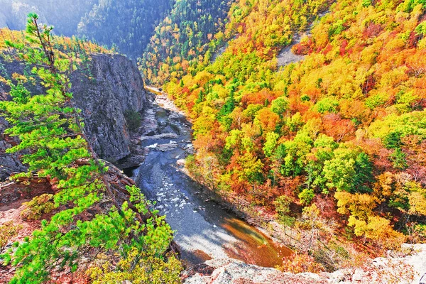 Paysage Automne Rivière Montagne Orageuse — Photo