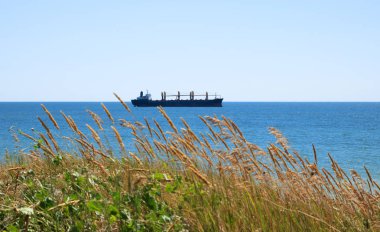 Yalı, kargo gemisi horrizon, turuncu yeşil çimen, sahil görünümünden Tarih