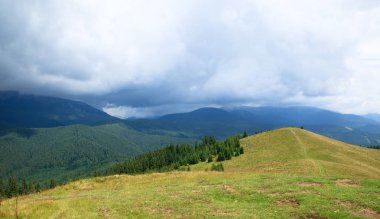 düşük gri bulutlar dağ Vadisi, yeşil çam ormanı, kara dağlar