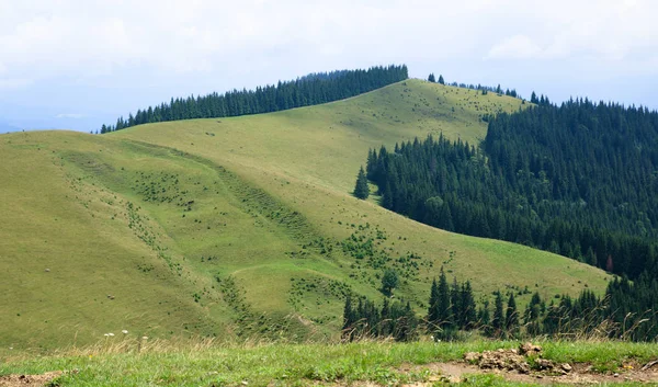 Green Mountain Valley Green Forest Top Hill — Stock Photo, Image