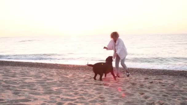 Vrouw Spelen Met Chocolade Labrador Het Strand Bij Zonsopgang Licht — Stockvideo