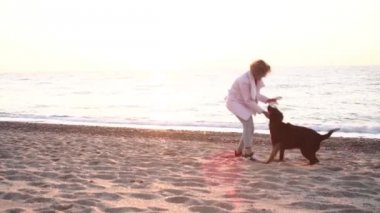 Sahilde çikolata labrador ile gündoğumu ışıkta oynarken erkek