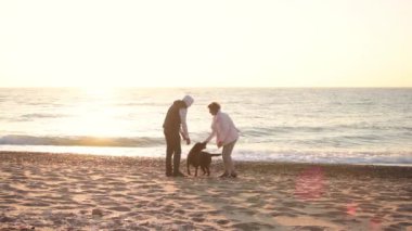 Genç çift sahilde çikolata labrador ile gündoğumu ışıkta oynarken