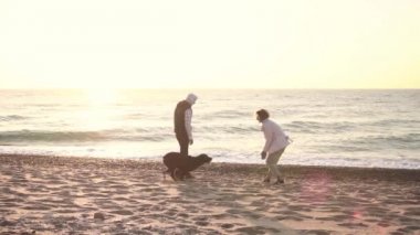 Genç çift sahilde çikolata labrador ile gündoğumu ışıkta oynarken