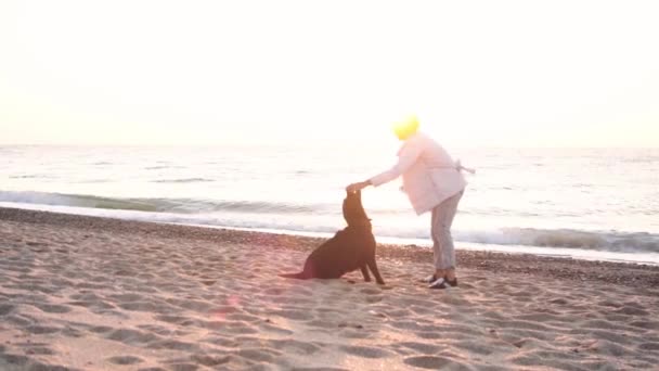 Vrouw Spelen Met Chocolade Labrador Het Strand Bij Zonsopgang Licht — Stockvideo