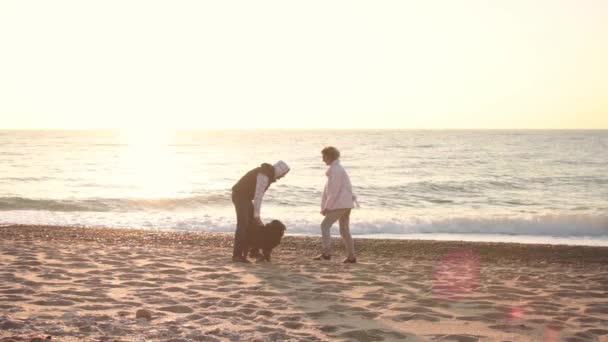 Pareja Joven Jugando Con Labrador Chocolate Playa Amanecer — Vídeo de stock