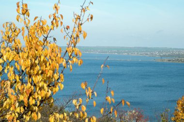 ağaç arka planda göl ile sarı yapraklar,