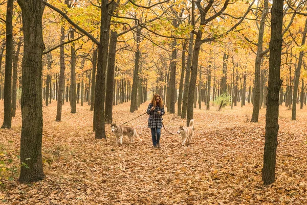 Młodych Rudowłosy Dziewczyna Jest Chodzenie Orange Park Jesień Dwoma Psami — Zdjęcie stockowe
