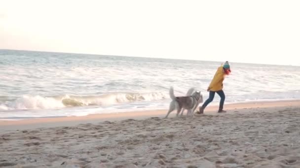 Chica Pelirroja Jugando Abrazándose Con Sus Dos Perros Husky Playa — Vídeo de stock