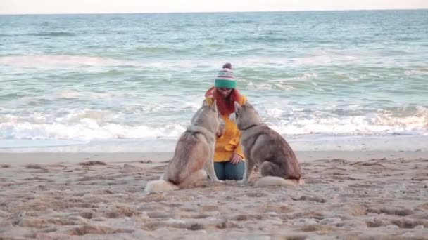 Chica Pelirroja Jugando Abrazándose Con Sus Dos Perros Husky Playa — Vídeo de stock